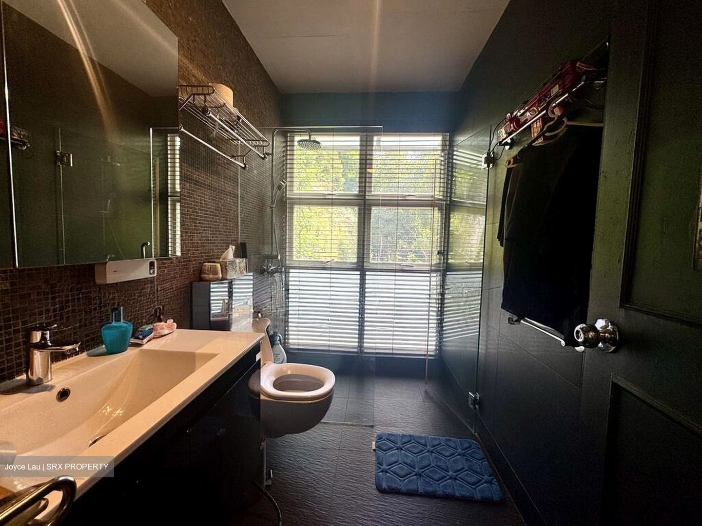 Hillview Villas (D23), Semi-Detached #524499491